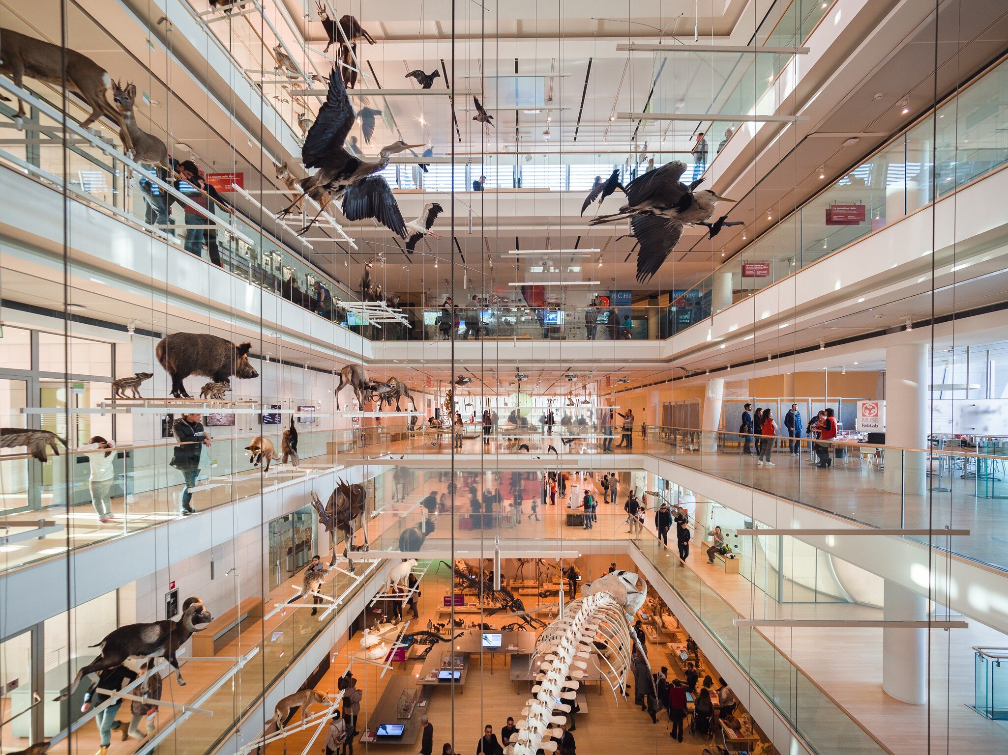 Interior of the 'MUSE', the Museum of the Sciences of Trento.
