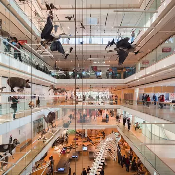 Interior of the 'MUSE', the Museum of the Sciences of Trento.