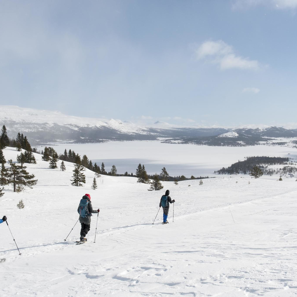 A group hiking in the snowy mountains in Norway.
