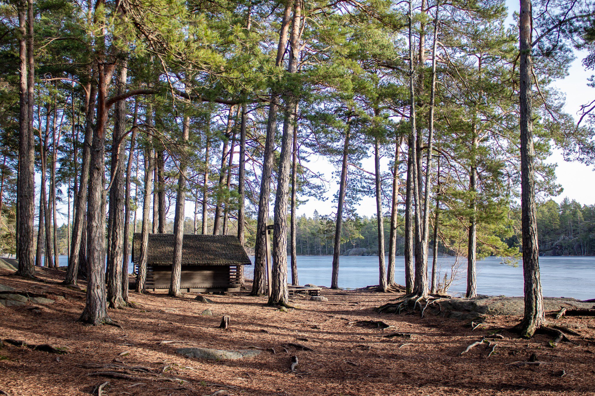 Public shelter/windbreak near frozen lake Årsjön in Tyresta national park in a winter morning