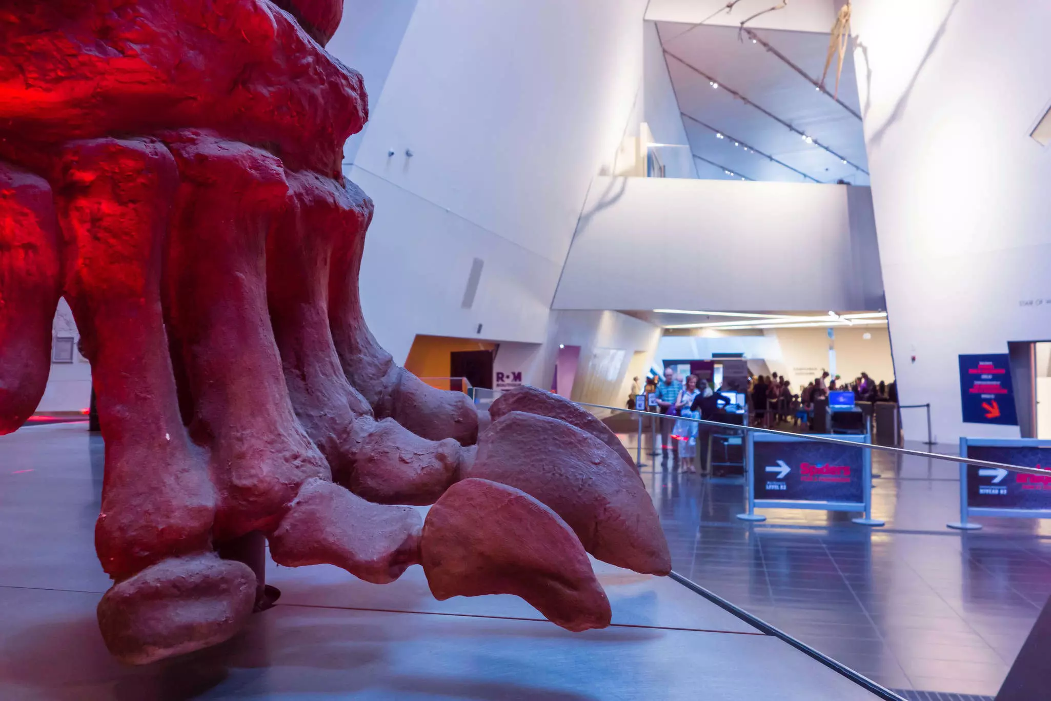 Toronto's Royal Ontario Museum is home to impressive dinosaur galleries. Bill Brooks/Alamy Stock Photo