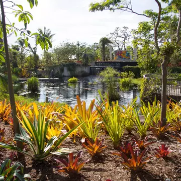 Botanical garden in Naples. Flowers landscape. Lili Ponds.