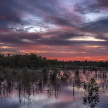 Pre-dawn over the marsh and mangroves at 10,000 Islands National Wildlife Refuge near Naples, Florida