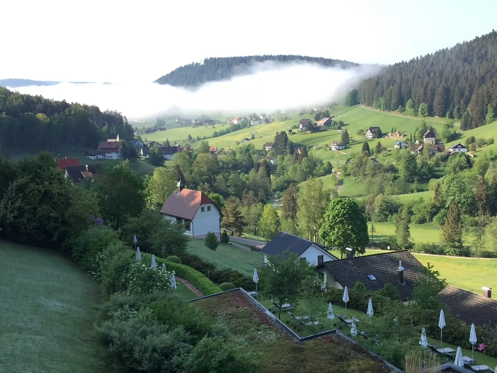 A green valley with small houses surrounded by grass and trees; a cloud bank hovers at the far end.