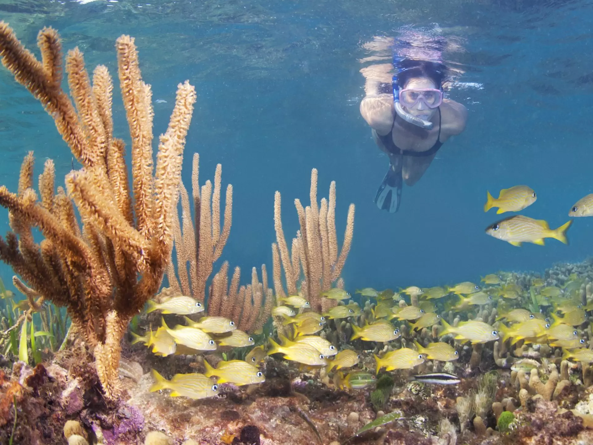 Snorkeling in Roatán, Honduras. Antonio Busiello/Getty Images