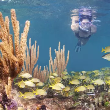 Snorkeling in Roatán, Honduras. Antonio Busiello/Getty Images