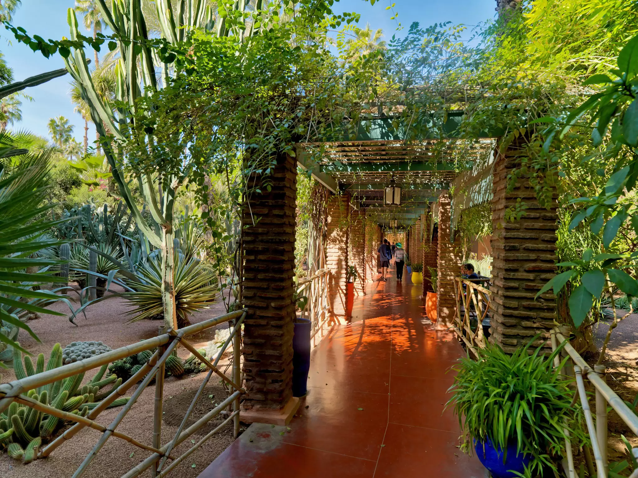 Plants in Jardin Majorelle in Marrakesh, Morocco
