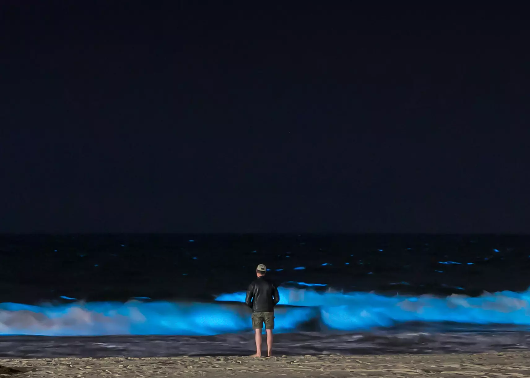 Bioluminescent plankton