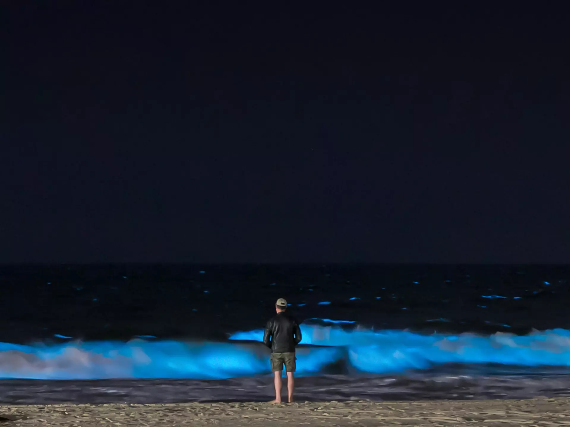 Bioluminescent plankton