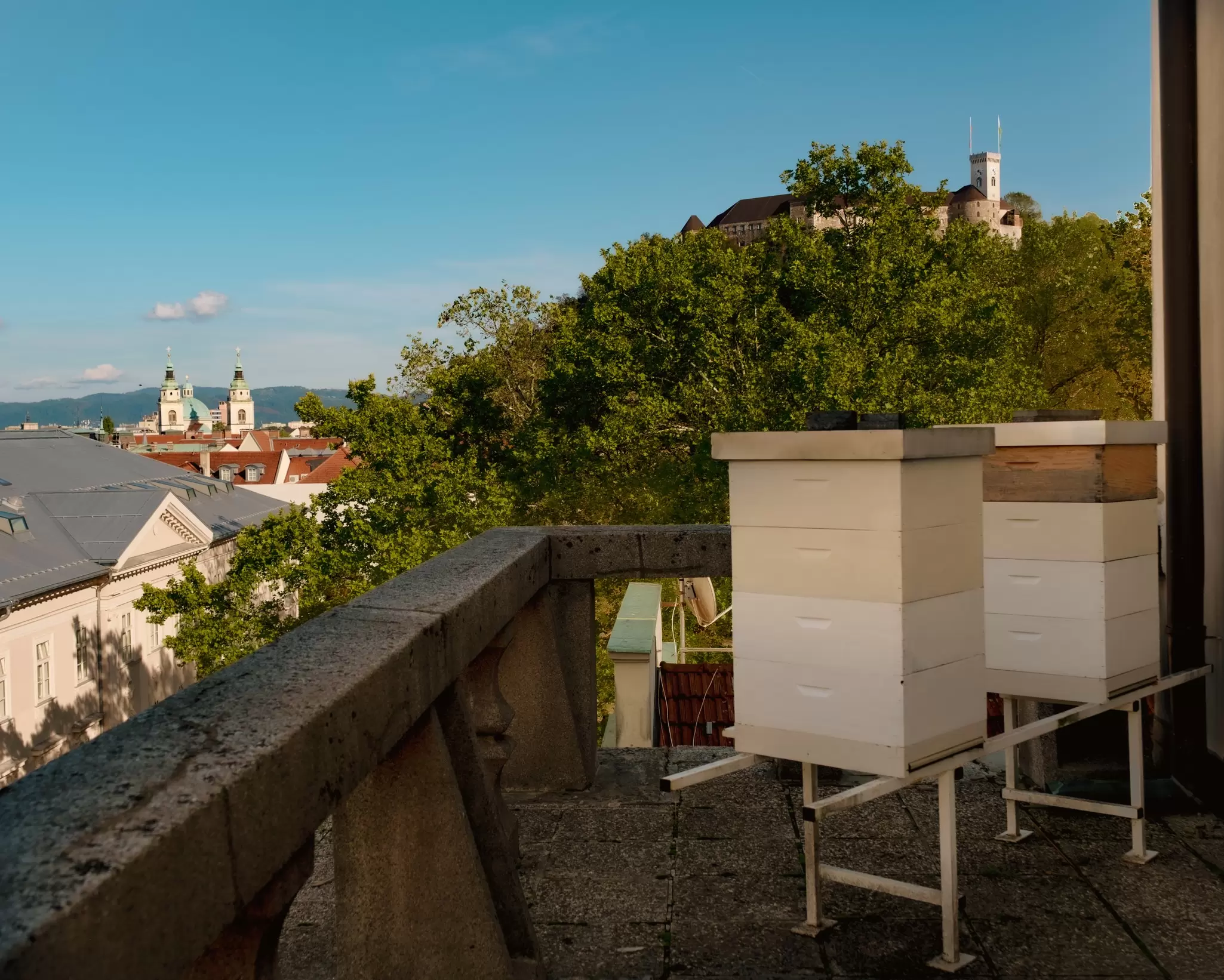 SLOVENIA
beehive on the rooftop of Jože Plečnik Grammar School, Ljubjana, Slovenia, September 2026