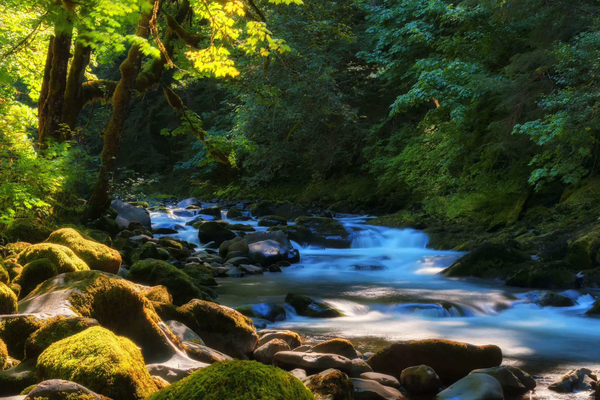 The Salmon River Trail isn't near as busy as some of its more popular brothers. deebrowning / Getty Images