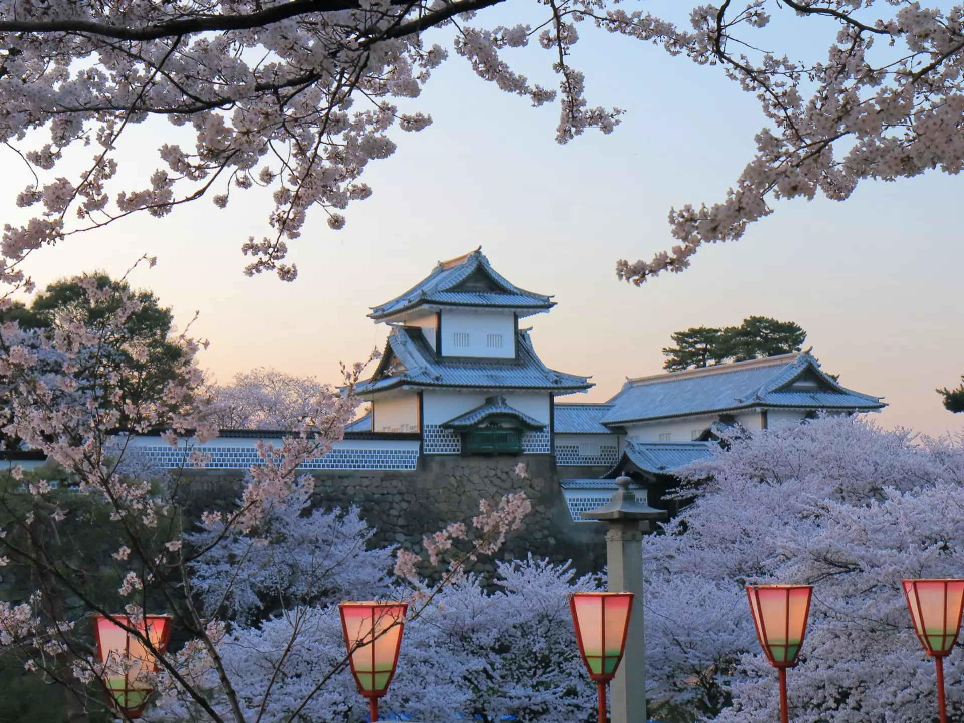 Cherry trees in full blossom at Kenroku-en Garden, with a view of Kanazawa Castle, Kanazawa, Honshū, Japan