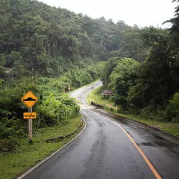 A road through a jungle in Northern Thailand. MartinJGruber/Shutterstock
