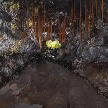 Kaumana Caves lava tube near Hilo, its rocky floor leading to a sunlit green opening under hanging tree roots