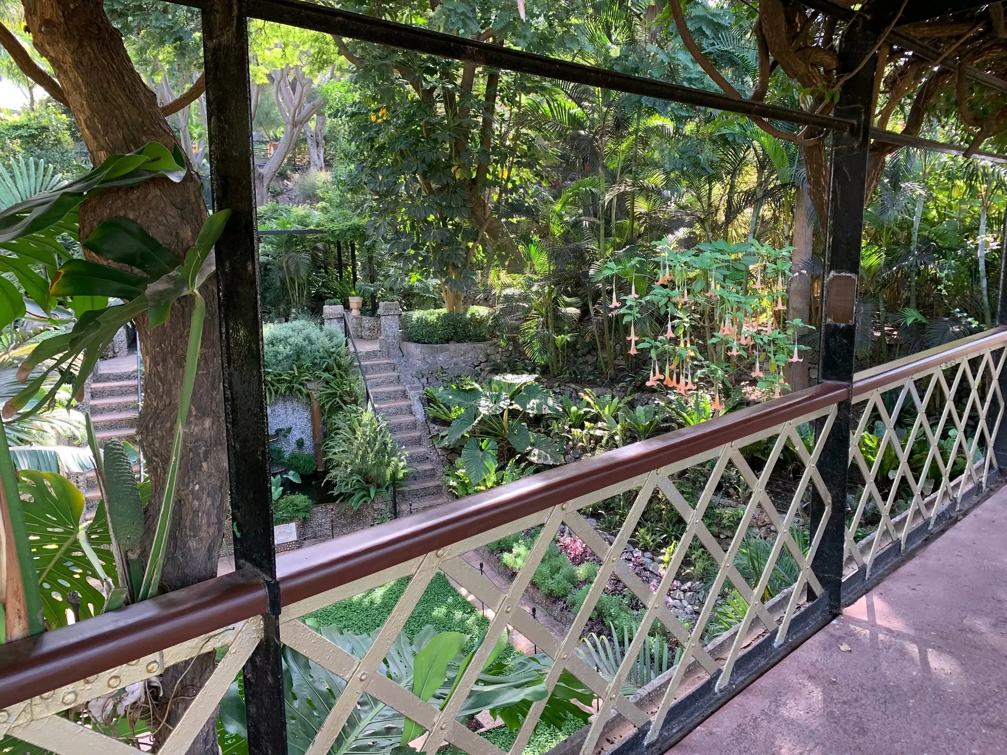 View of lush green tropical gardens from a foot bridge
