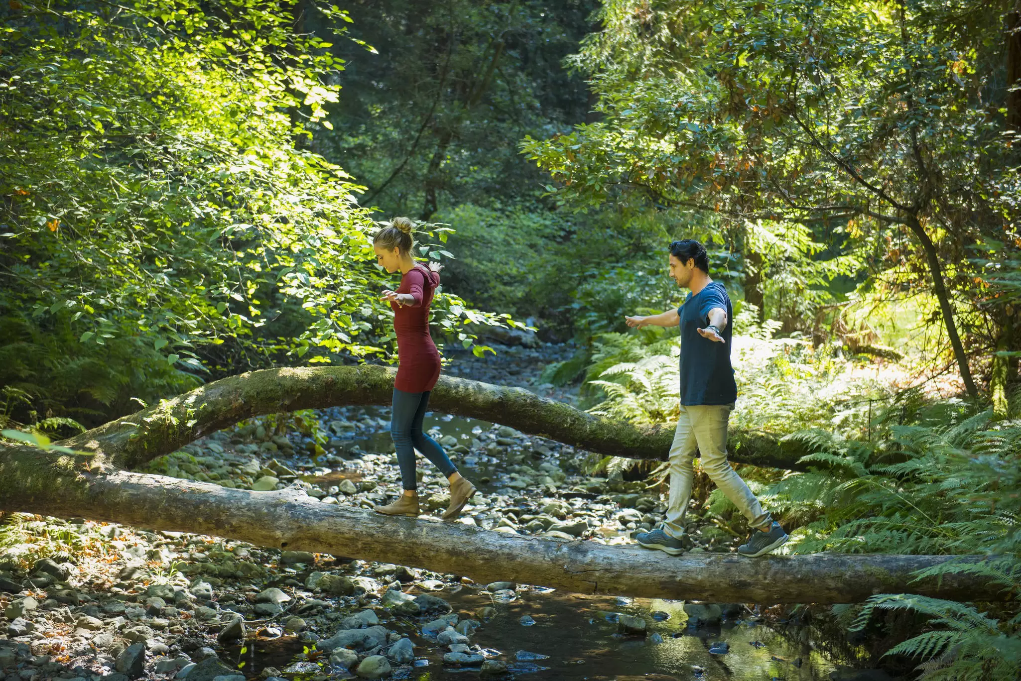 Hiking in Muir Woods