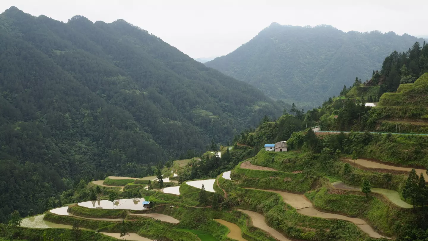 Paimo rice terraces4.JPG