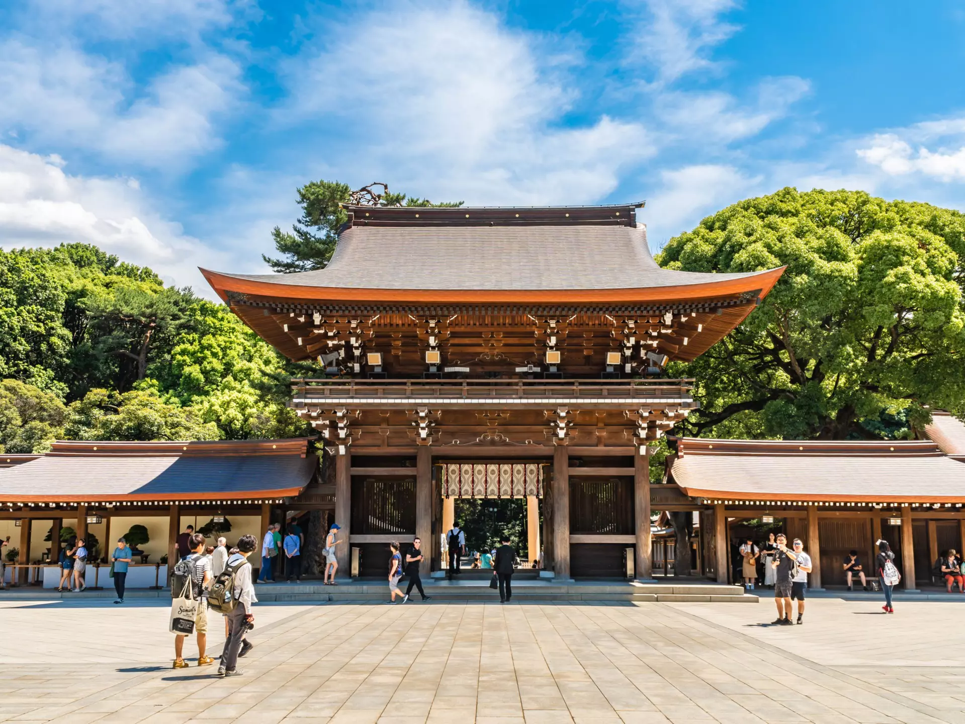 Visitors to Meji-jingu shrine in Tokyo. non c/shutterstock