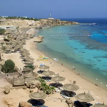 A beach lined with sun shades. Snorkelers swim in the shallows.