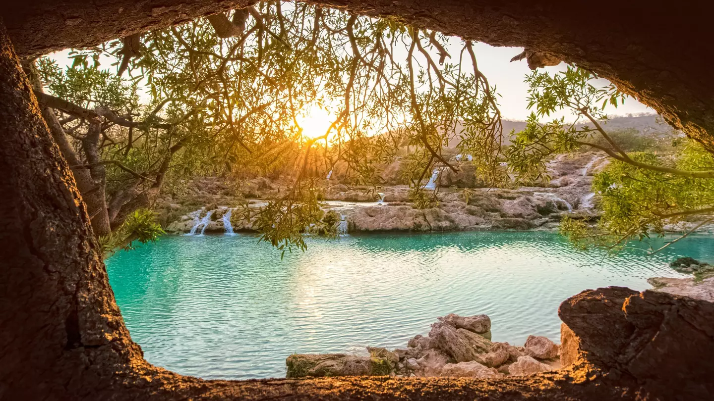 Sun shining through trees onto a waterfall and river