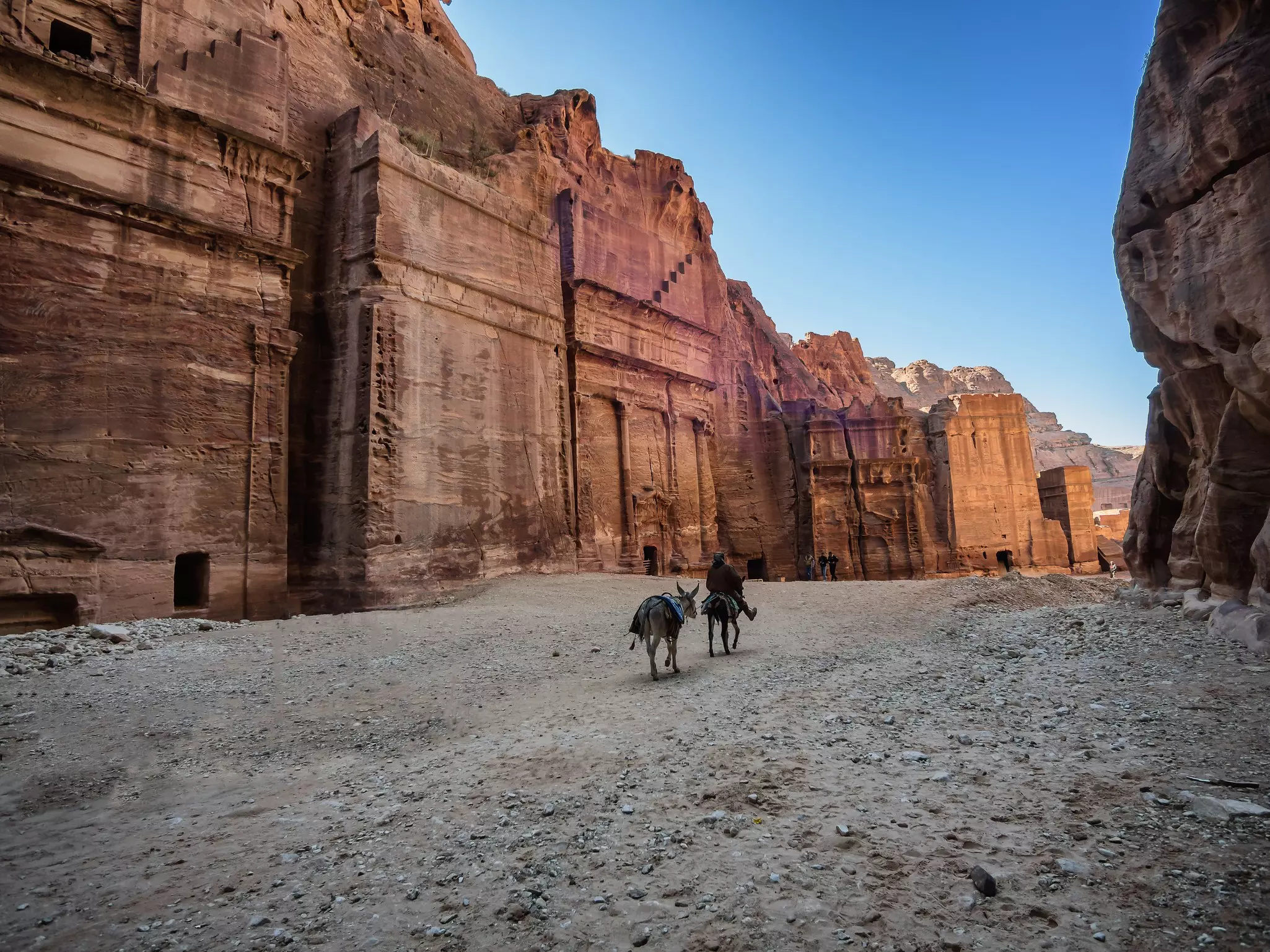 Two donkeys, one with a rider, pass down a street in a rose-colored city of sandstone