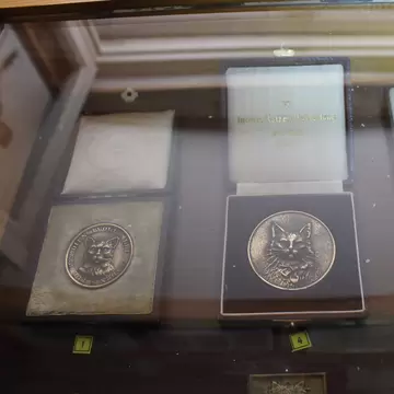 Three cat-themed medals in open cases inside a glass display cabinet at the Cats Museum in Kotor
