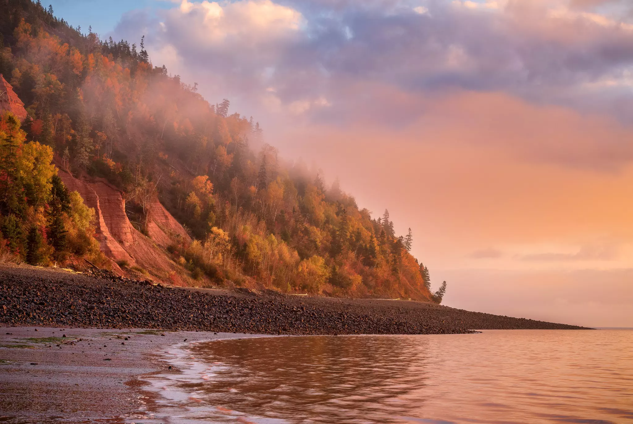 Mist rising off the water with a pink sky, purple clouds, and colorful foliage at Cape Blomidon in the Bay of Fundy's Blomidon Provincial Park