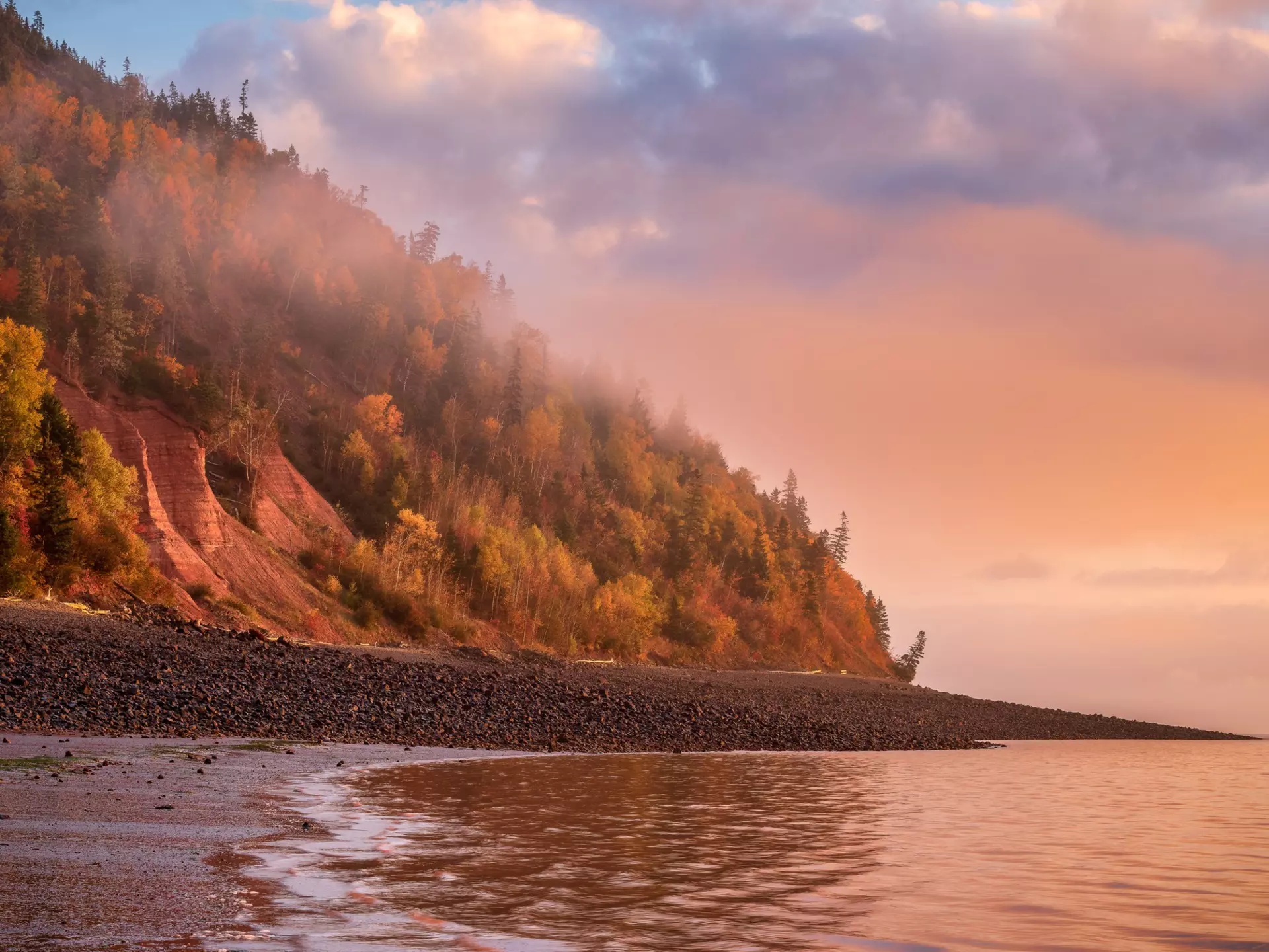 Mist rising off the water with a pink sky, purple clouds, and colorful foliage at Cape Blomidon in the Bay of Fundy's Blomidon Provincial Park