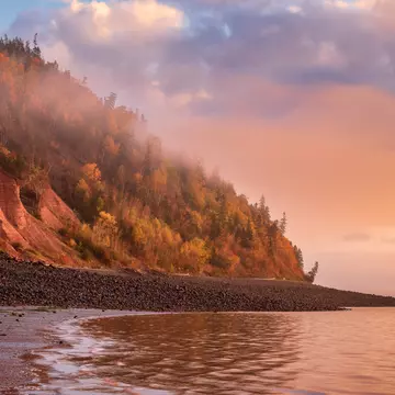 Mist rising off the water with a pink sky, purple clouds, and colorful foliage at Cape Blomidon in the Bay of Fundy's Blomidon Provincial Park