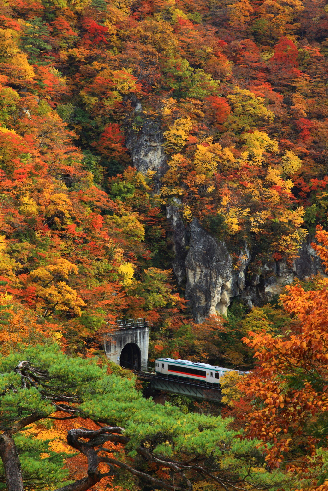 Naruko Gorge in autumn, License Type: media, Download Time: 2025-08-29T18:30:29.000Z, User: rhylton_redventures, Editorial: false, purchase_order: 65050 - Digital Destinations and Articles, job: Lonely Planet, client: social, other: Rhianydd Hylton