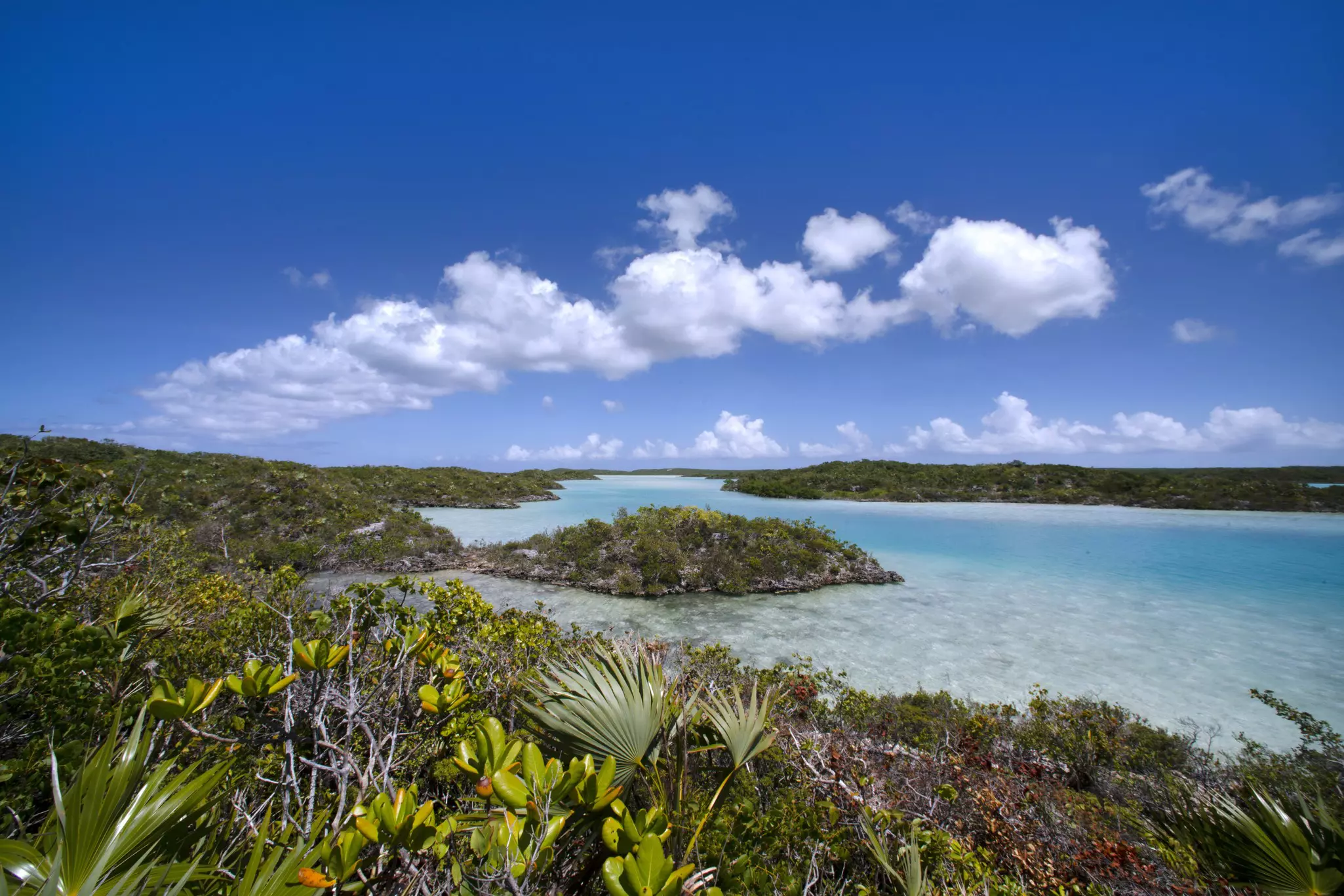 Lush green foliage blankets the shoreline at Chalk Sound National Park in the Turks and Caicos Islands. | Rent a kayak and paddle across the turquoise water at Chalk Sound National Park. Federico Cabello/Getty Images
