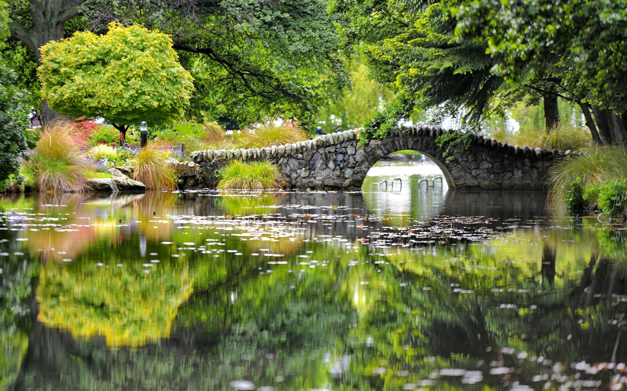 Bridge in the Queenstown Gardens, Otago, South island,  New Zealand