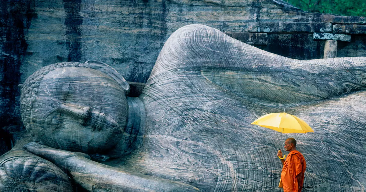 The best time to visit Sri Lanka - Lonely Planet