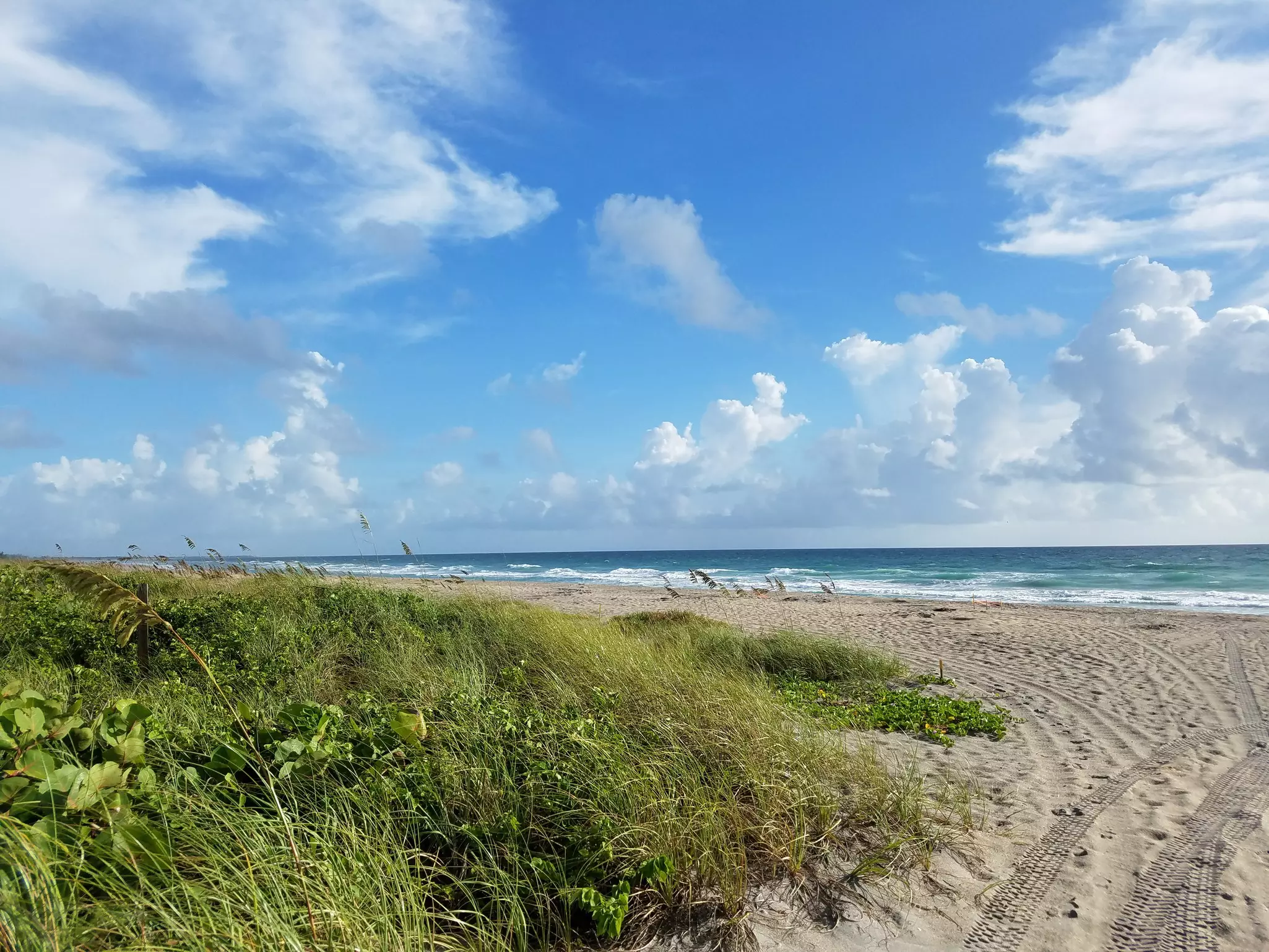 National wildlife refuge in Hobe sound , License Type: media, Download Time: 2026-06-03T17:43:22.000Z, User: adouglaslott59, Editorial: false, purchase_order: 65050 - Digital Destinations and Articles, job: online editorial, client: best beaches in Florida, other: Ann Douglas Lott