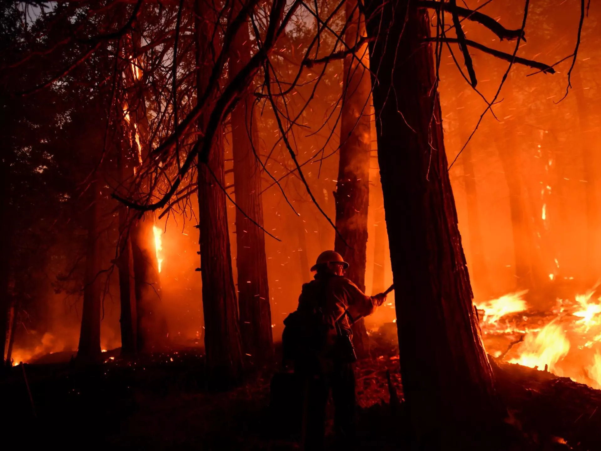 A Kern County firefighter uses a hand tool to keep the fire from spreading as trees burn at night during the French Fire in the Sequoia National Forest near Wofford Heights, California on August 25, 2021. - The wildfire west of Lake Isabella in Kern County has burned over 20,000 acres while threatening homes in and around Wofford Heights and Kernville. (Photo by Patrick T. FALLON / AFP) (Photo by PATRICK T. FALLON/AFP via Getty Images)
1234870154
fire, Horizontal