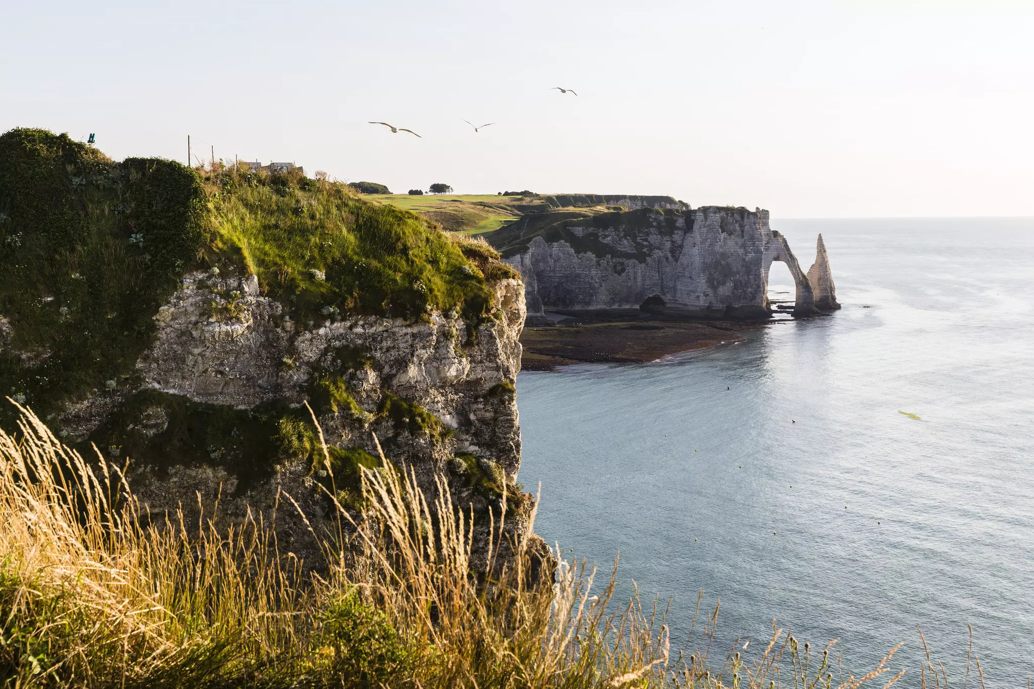 Birds in flight over the steep rocky coast in front of Porte d'Aval, in the town of Étretat.