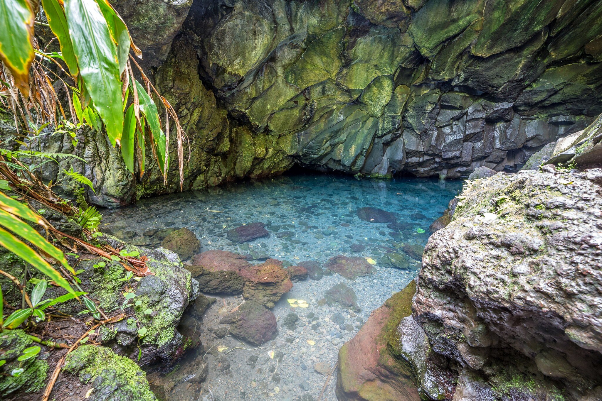 Fresh water lava caves in Waianapanapa state park on the island of maui, Hawaii; Shutterstock ID 198752111;