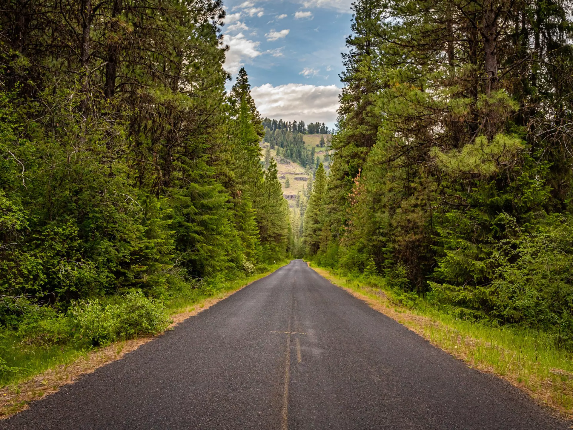 Wallowa Mountain Loop Road in Oregon
1189805392
Wallowa mountain, oregon, road
