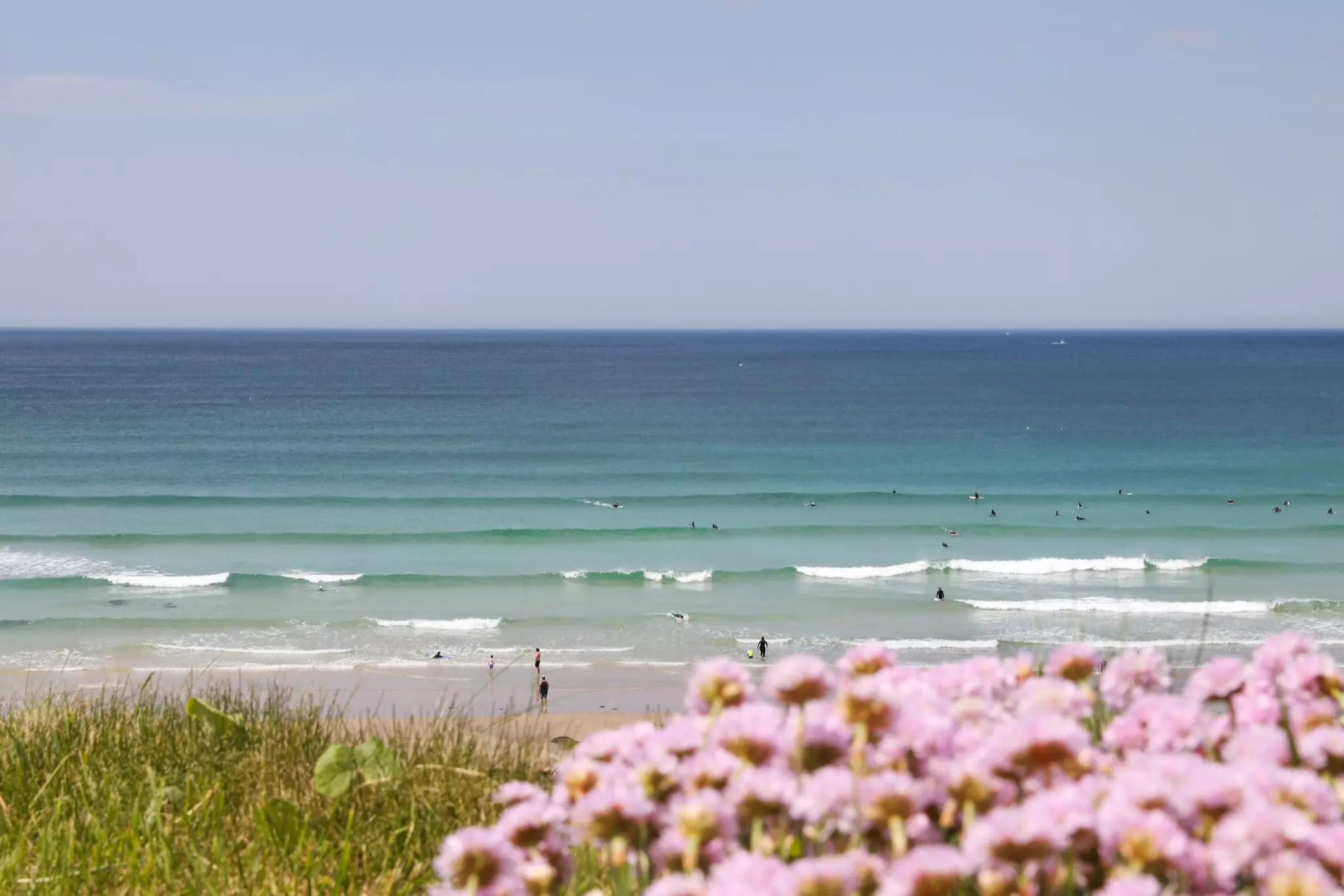 Surfers out at sea heading towards breaking waves. Pink flowers fill the grass behind the beach.