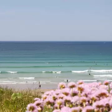 Surfers out at sea heading towards breaking waves. Pink flowers fill the grass behind the beach.