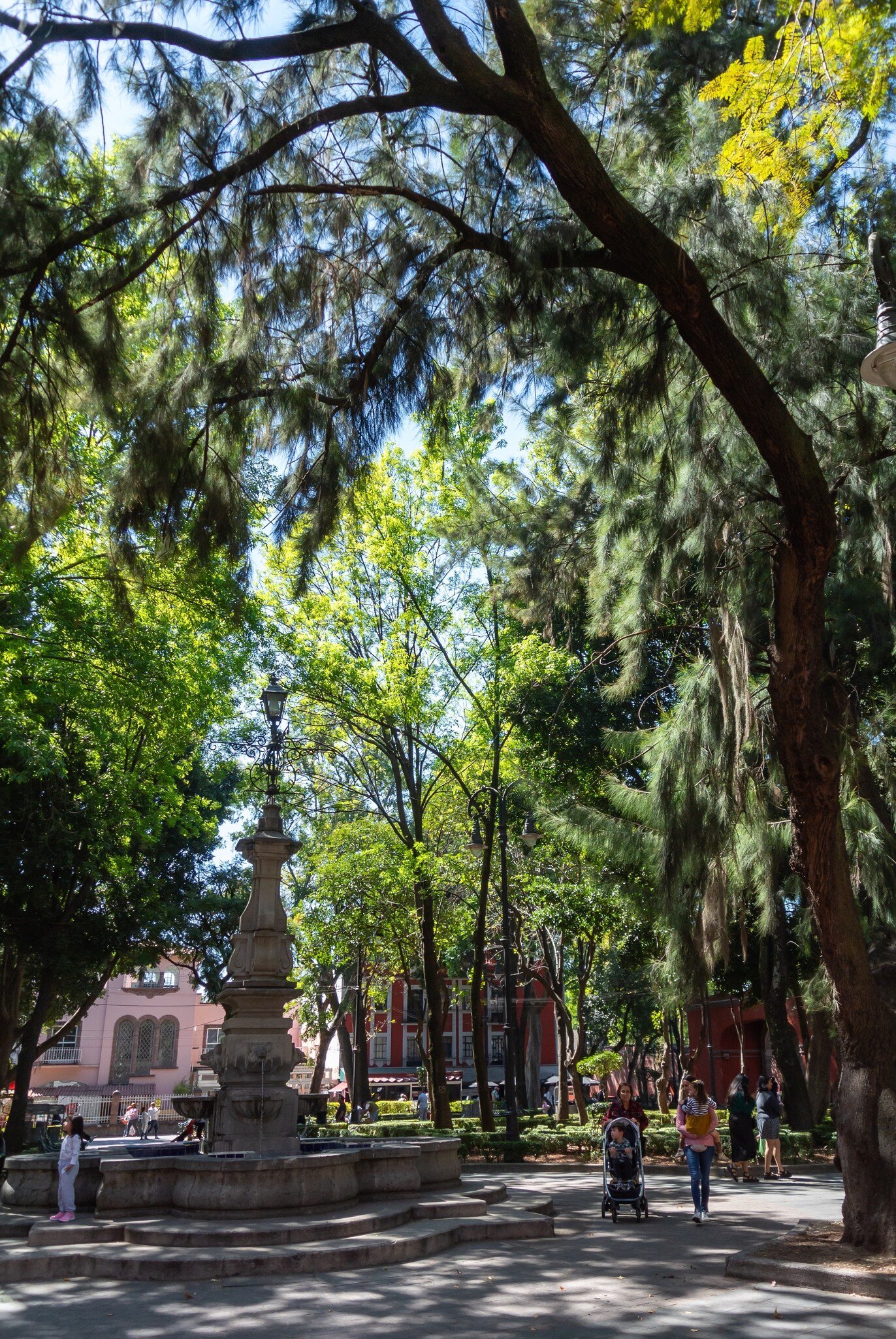 View of a fountain surrounded by greenery at Jardín Centenario in the Coyoacán neighborhood of Mexico City.