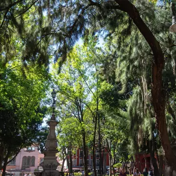 View of a fountain surrounded by greenery at Jardín Centenario in the Coyoacán neighborhood of Mexico City.