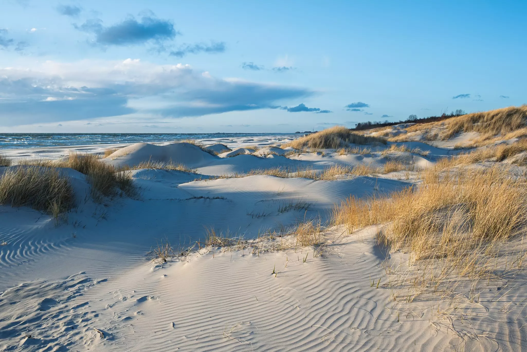 Sand dunes by the Baltic Sea at Liepāja, Latvia.