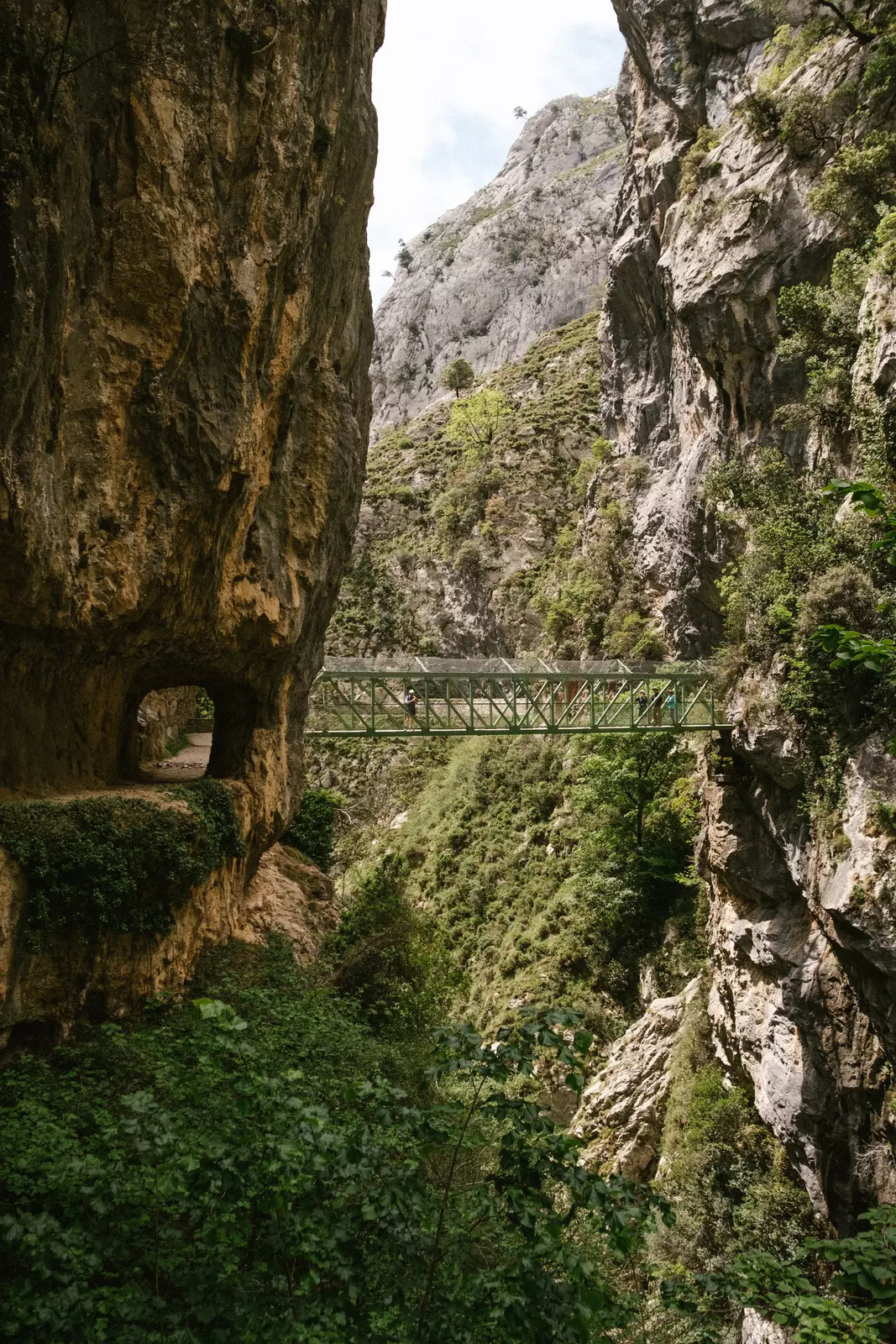 The trail passes through tunnels and crosses bridges, adding to the adventure of the hike.