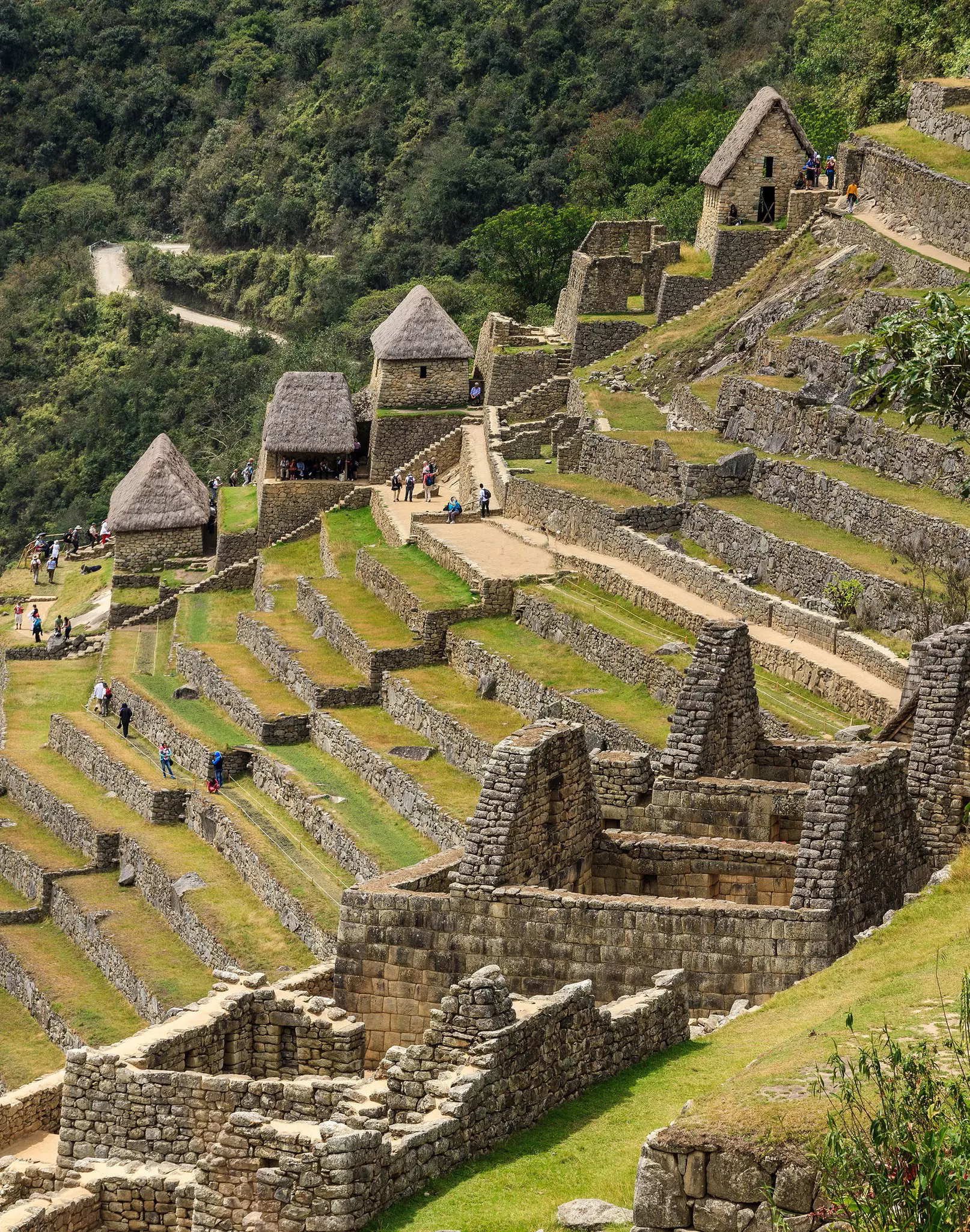 Machu Picchu, Cuzco, Peru, with steps climbing to the top. 