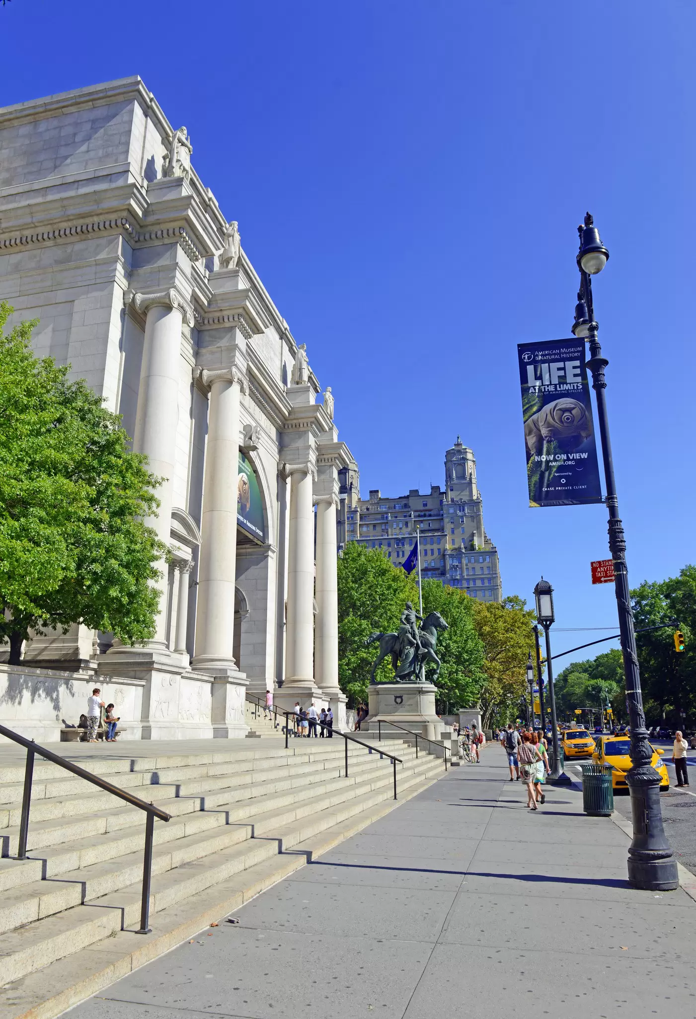 The American Museum of Natural History