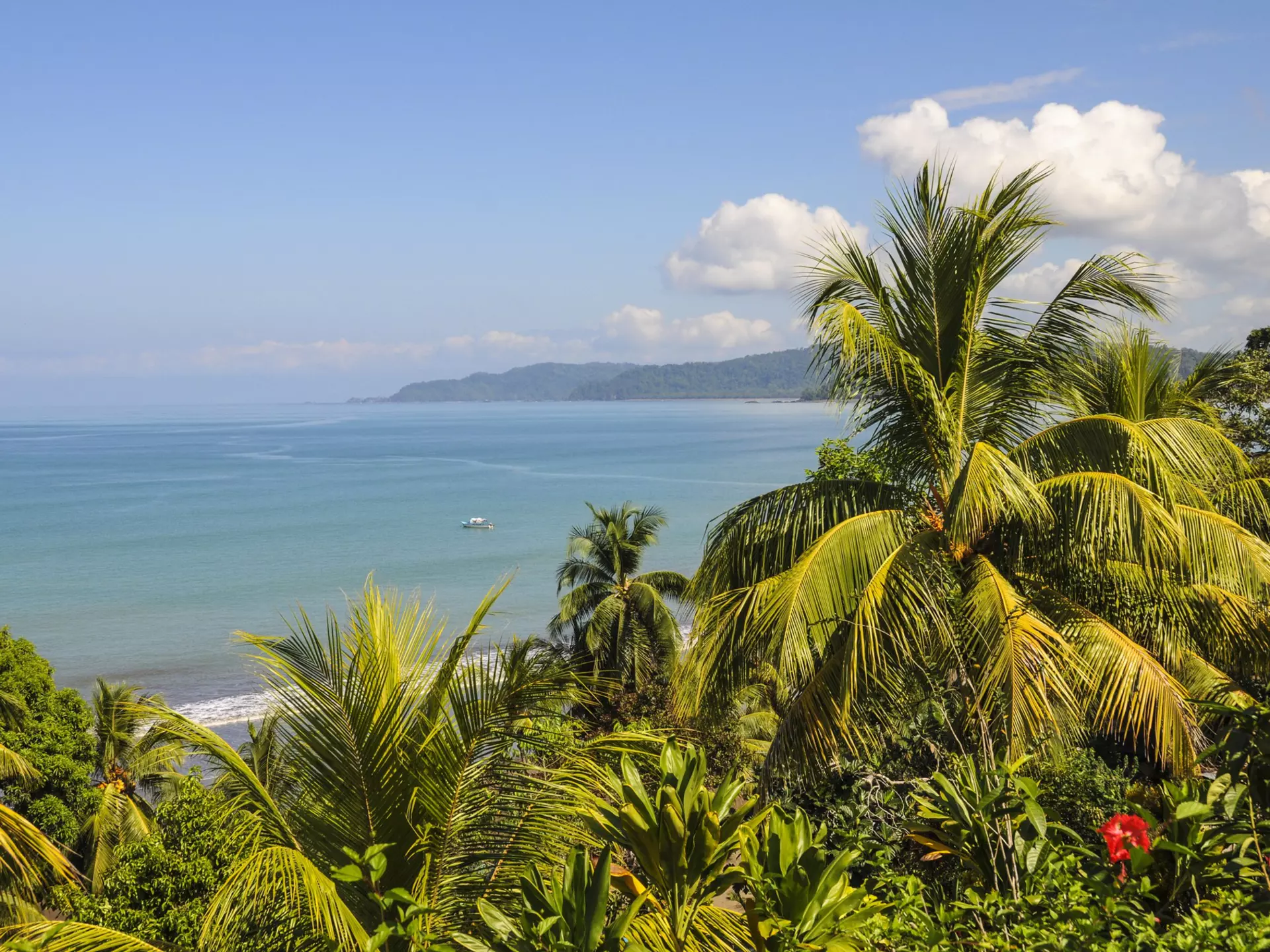 Bahía Drake on the Península de Osa. Sam Camp/Getty Images
