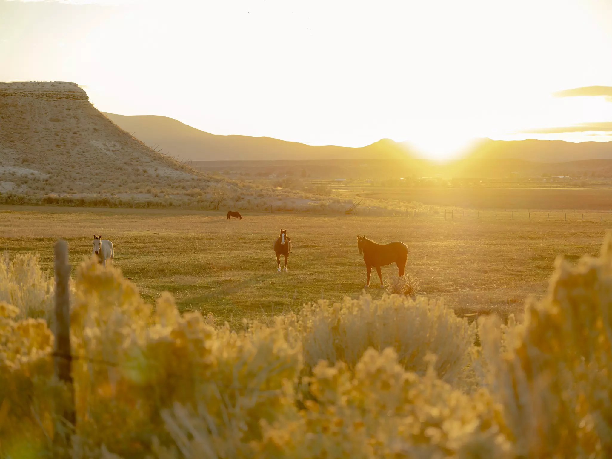 The park is a popular destination for outdoor enthusiasts seeking a one-of-a-kind natural experience and a chance to marvel at the beauty of the earth's geological wonders.