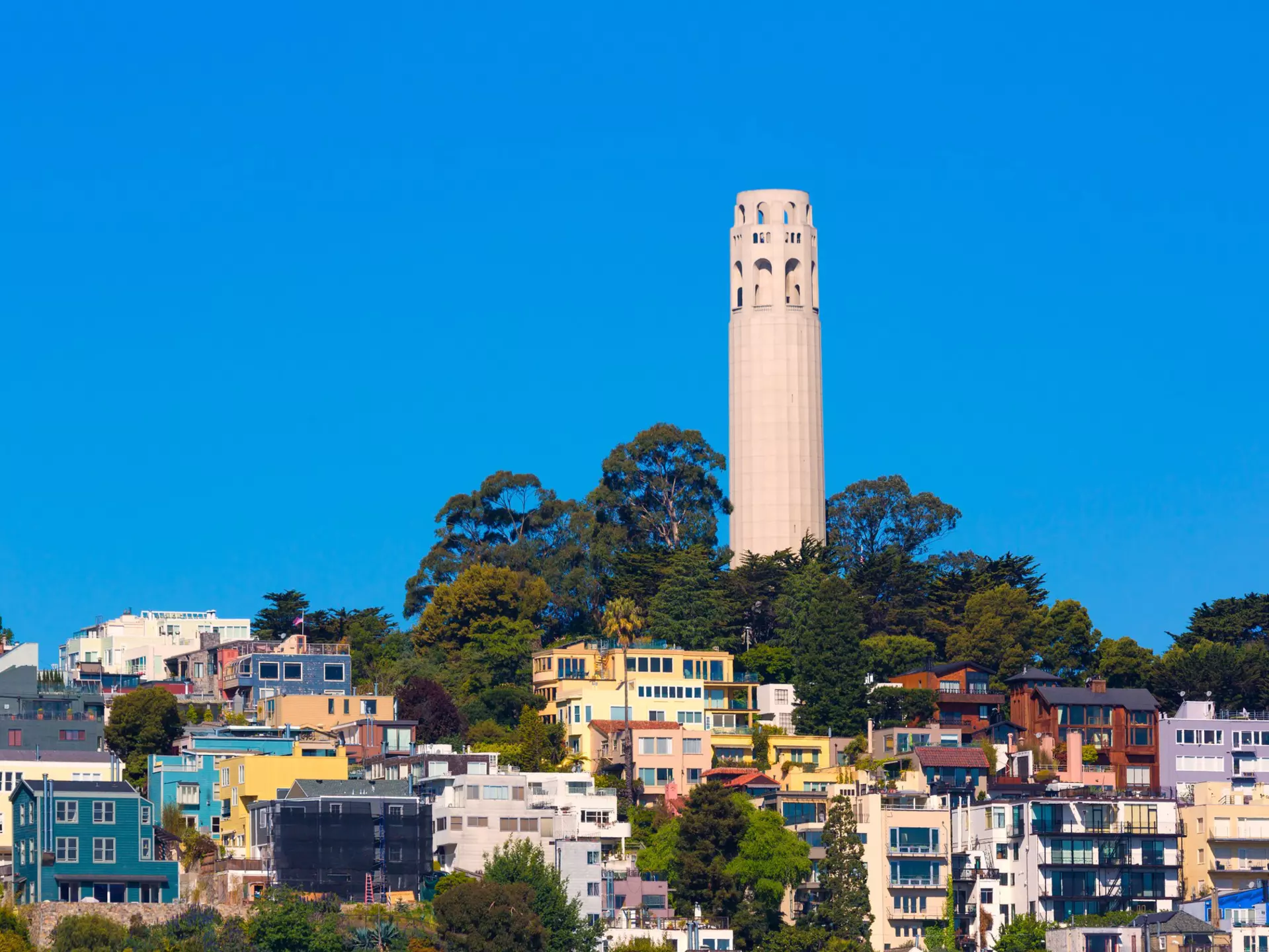 Coit Tower in San Francisco, California. lunamarina/Shutterstock