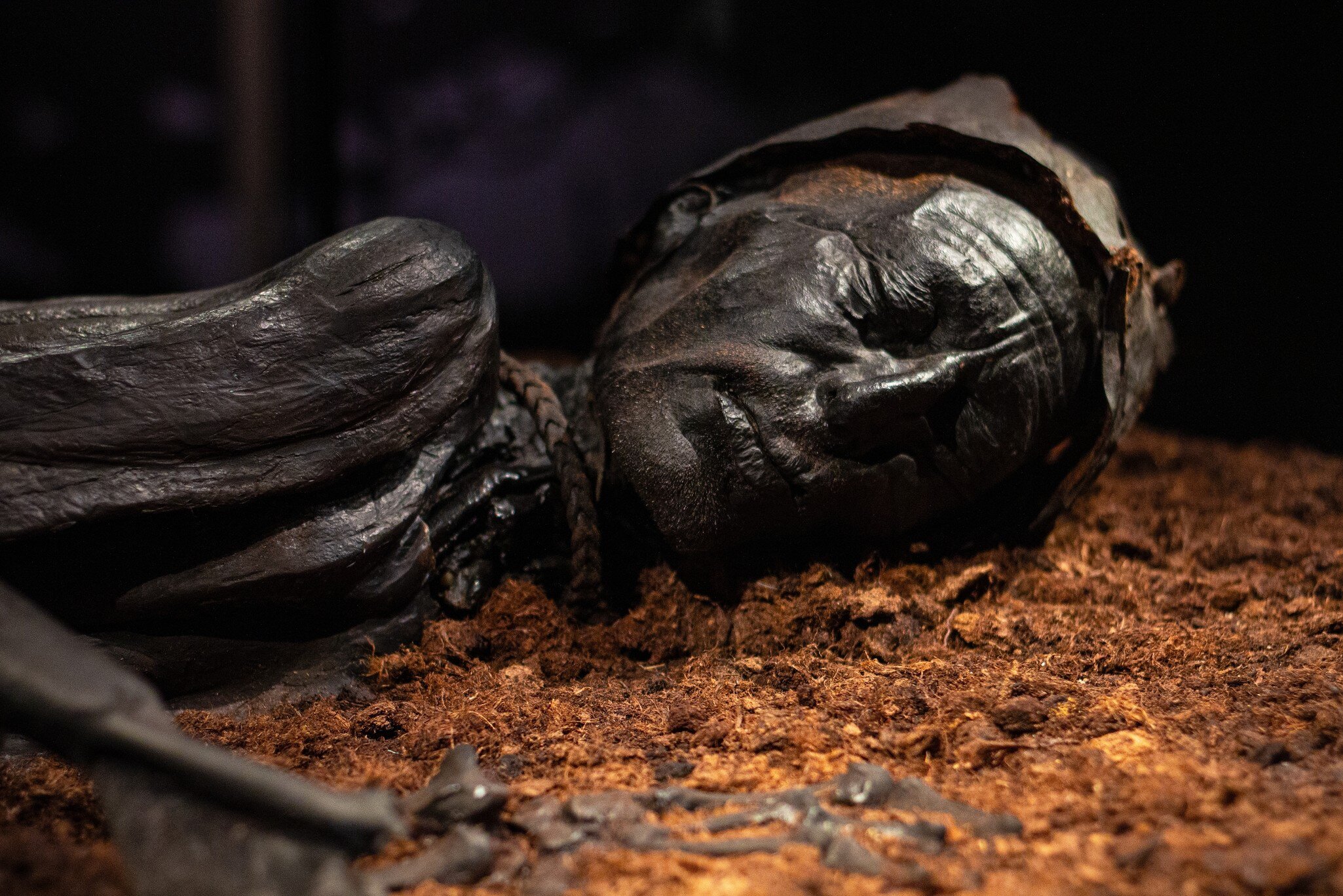 Tollund Man, naturally mummified corpse of a man who lived during the 5th century BC and found in 1950 by Bolling So lake. Museum Silkeborg, Denmark.
